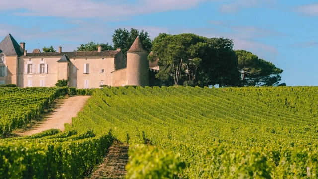 Photo du Château Yquem